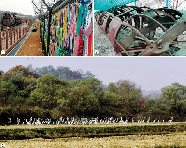 Ecological peace belt to be built in DMZ