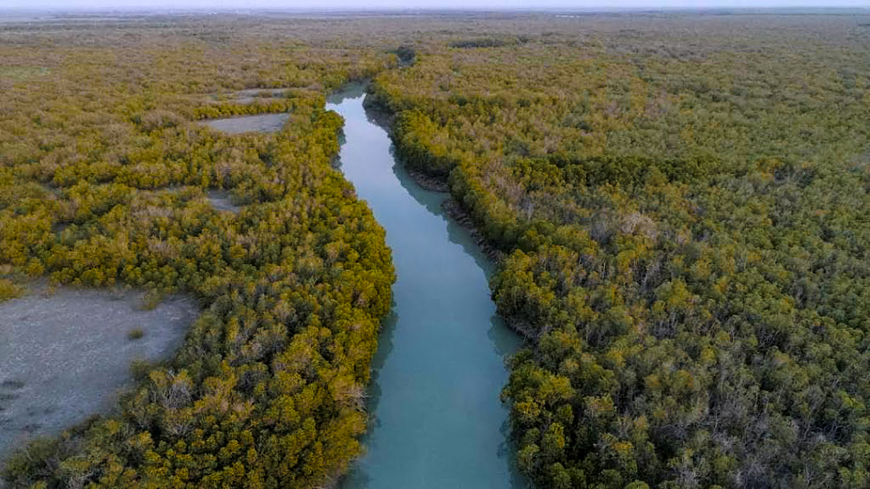 The Azini mangrove creek in Sirik County, Hormozgan, on Iran's Strait of Hormuz coast.